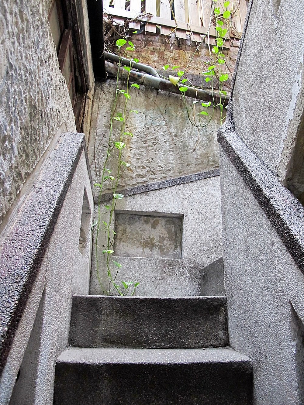 窄門咖啡｜台南必去！必喝！特色老屋咖啡店！入口只有38公分的超窄門，只有瘦子才進得去!