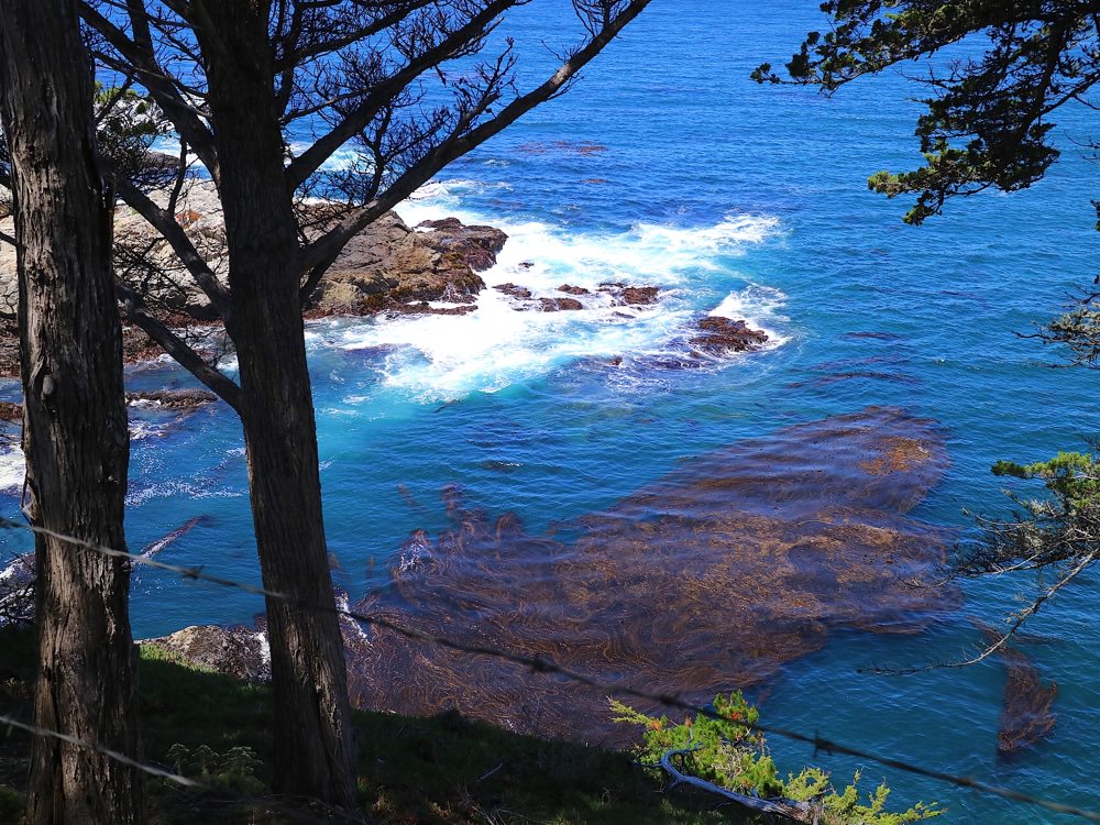 跟著巨鼠玩美國：美國自助旅行十天怎麼玩？完整景點餐廳行程全收錄｜租車自駕旅遊記錄分享