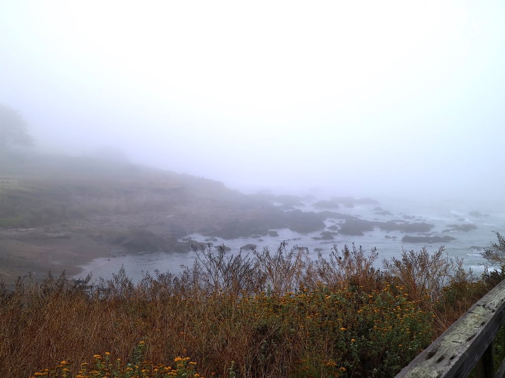 跟著巨鼠玩美國：美國自助旅行十天怎麼玩？完整景點餐廳行程全收錄｜租車自駕旅遊記錄分享