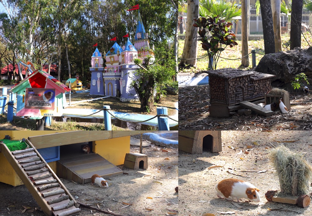 頑皮世界野生動物園：台南學甲區必遊景點.南臺灣最大動物園.可近距離餵食動物.帶小朋友來玩最佳遊樂天地/台南必玩必逛景點推薦/提早預約限定-水豚餵食互動體驗.小小獸醫體驗營