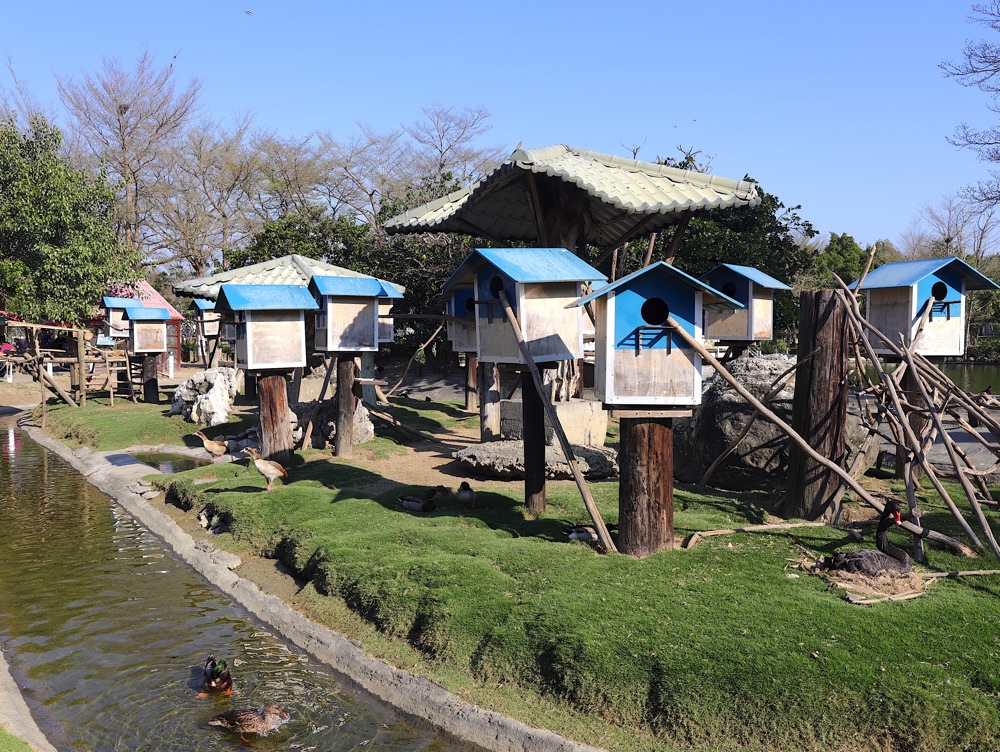 頑皮世界野生動物園：台南學甲區必遊景點.南臺灣最大動物園.可近距離餵食動物.帶小朋友來玩最佳遊樂天地/台南必玩必逛景點推薦/提早預約限定-水豚餵食互動體驗.小小獸醫體驗營