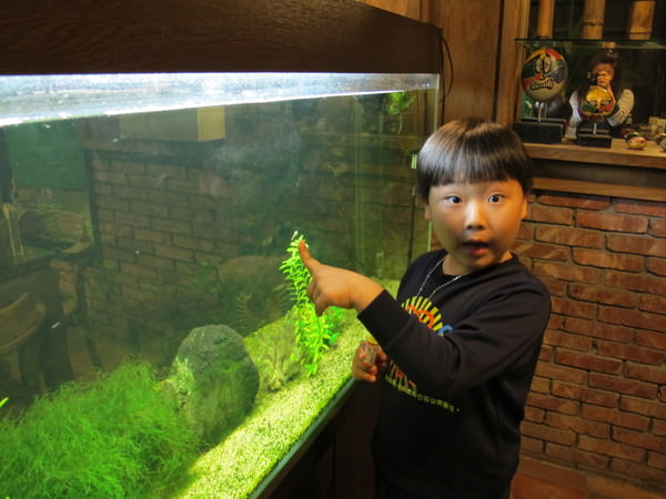 西海岸活蝦之家餐廳(台南總店)：《美味跳起來》活跳跳的全蝦料理~ 西海岸活蝦之家