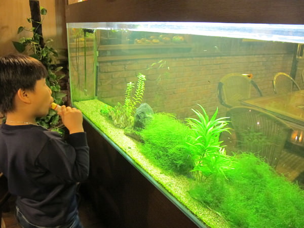西海岸活蝦之家餐廳(台南總店)：《美味跳起來》活跳跳的全蝦料理~ 西海岸活蝦之家